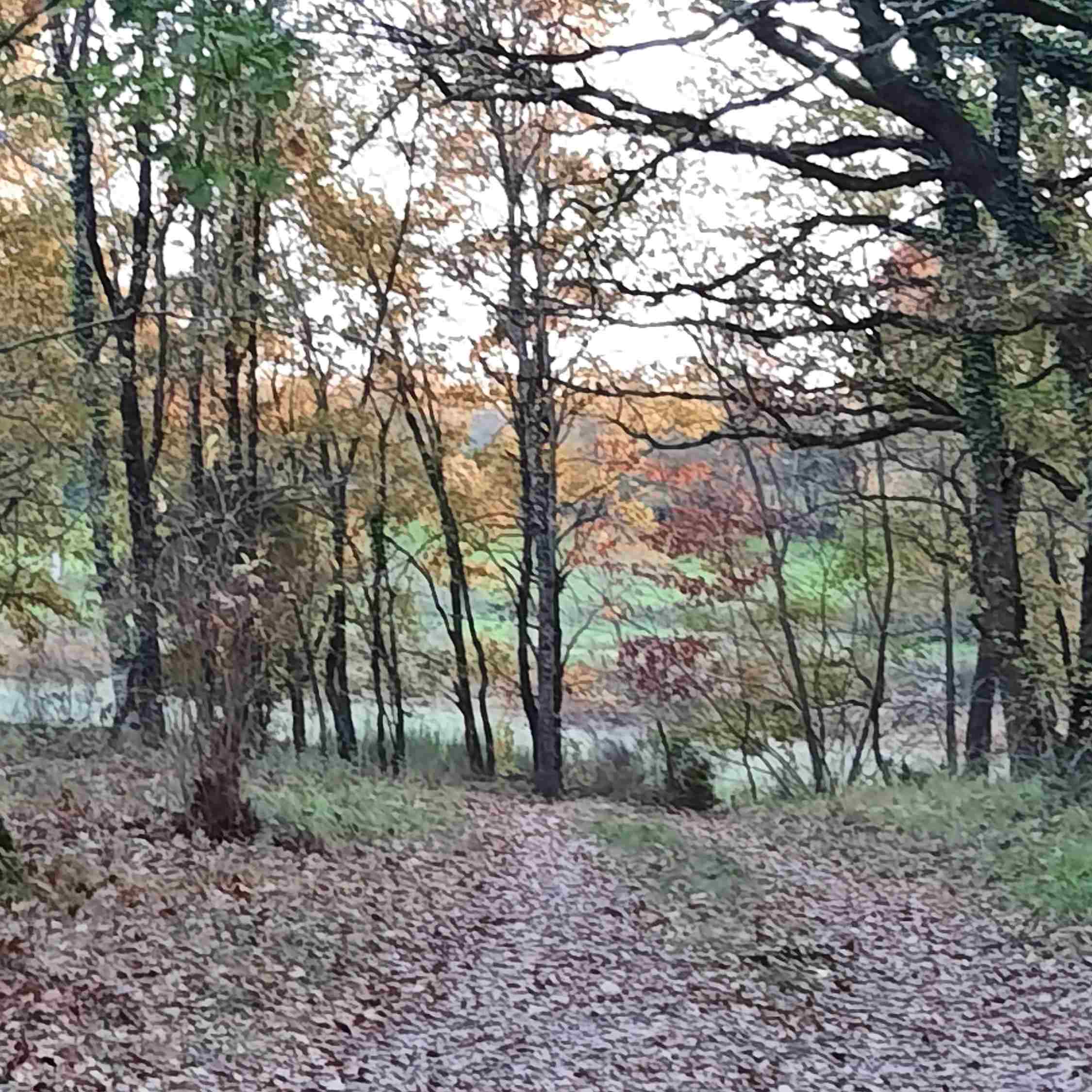 Photo de Pierre GUIRAUDET