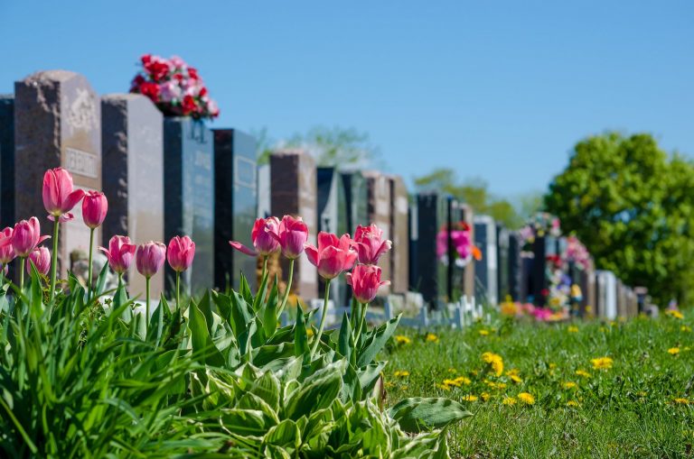 cimetiere fleuri